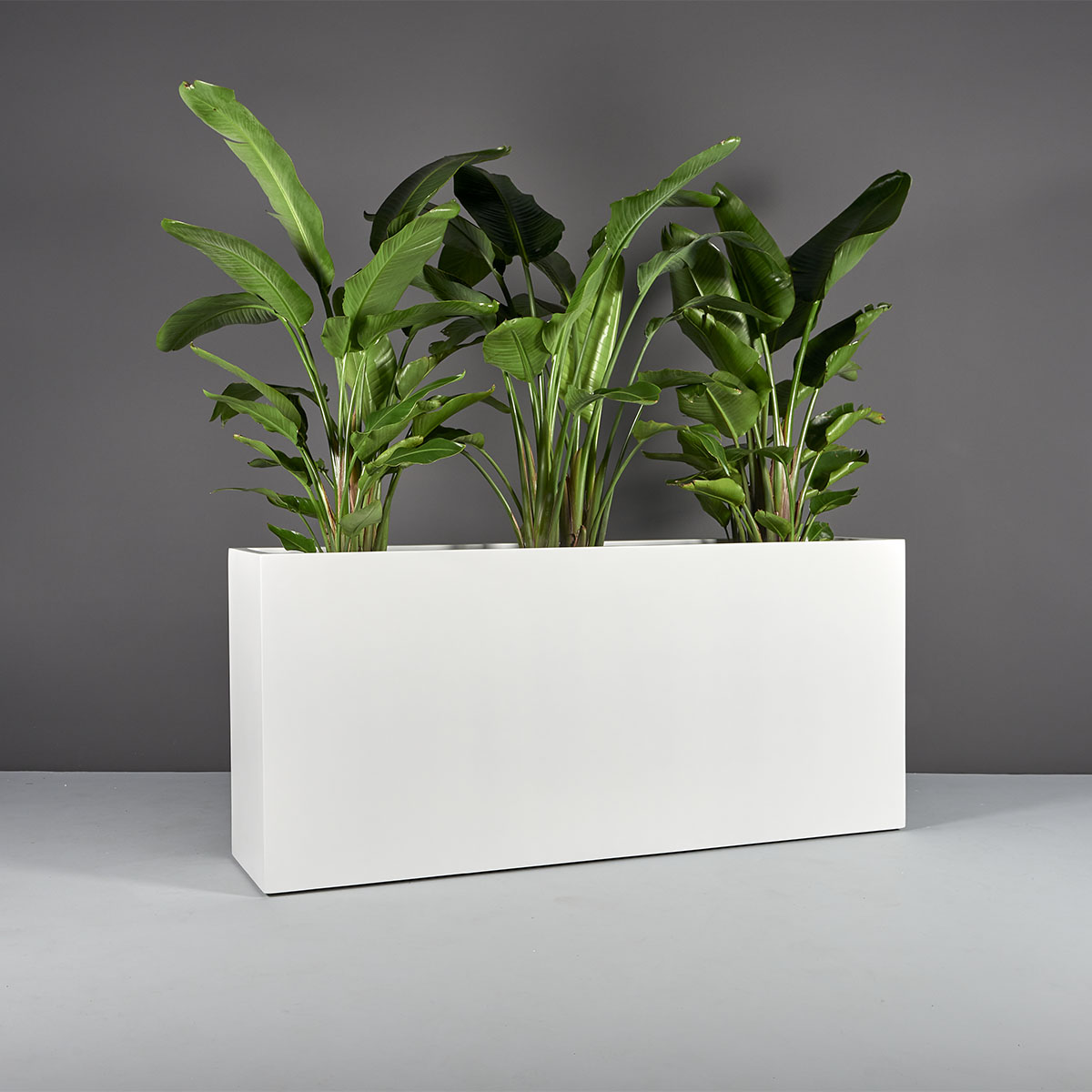 Potsdam Rectangular Planter, 72 inch, matte bright white