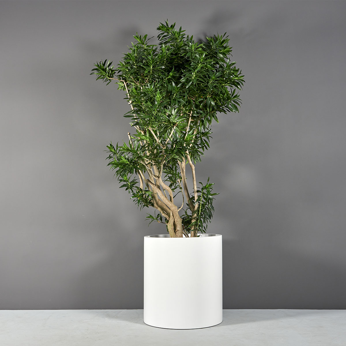 Rio Grande Cylinder Planter, 30 inch